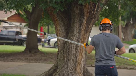 pole saw rental albany ga